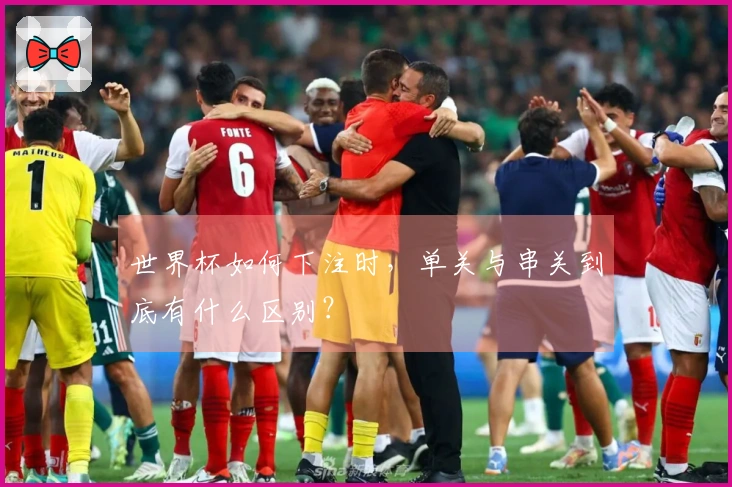 世界杯如何下注时，单关与串关到底有什么区别？