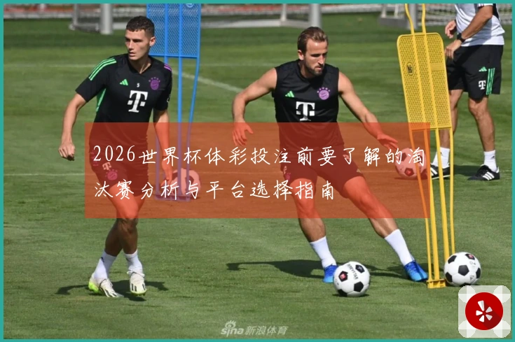 2026世界杯体彩投注前要了解的淘汰赛分析与平台选择指南