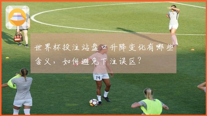 世界杯投注站盘口升降变化有哪些含义，如何避免下注误区？