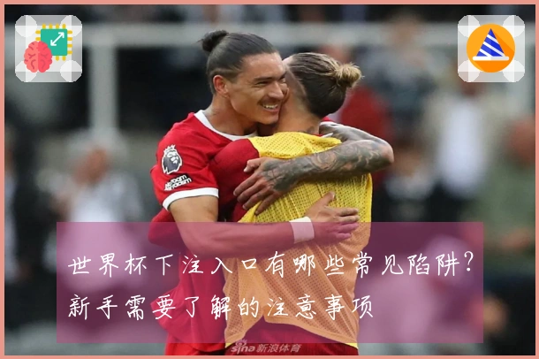 世界杯下注入口有哪些常见陷阱？新手需要了解的注意事项