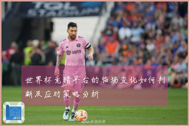 世界杯竞猜平台的临场变化如何判断及应对策略分析