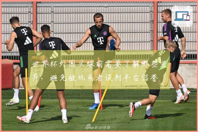 世界杯外围买球前需要了解哪些差异，避免被坑或者误判平台信誉