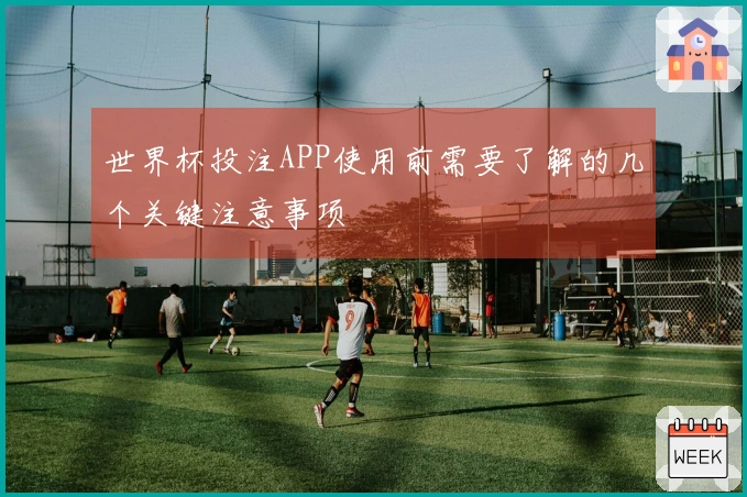 世界杯投注APP使用前需要了解的几个关键注意事项