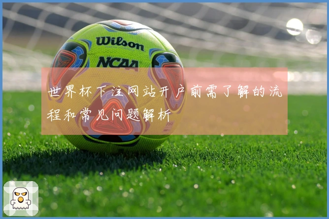 世界杯下注网站开户前需了解的流程和常见问题解析