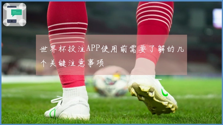 世界杯投注APP使用前需要了解的几个关键注意事项