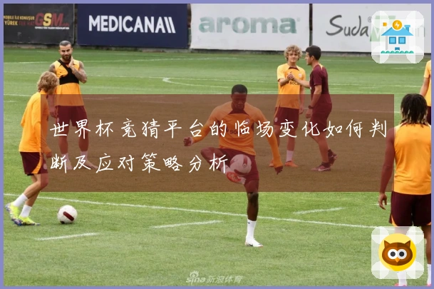 世界杯竞猜平台的临场变化如何判断及应对策略分析