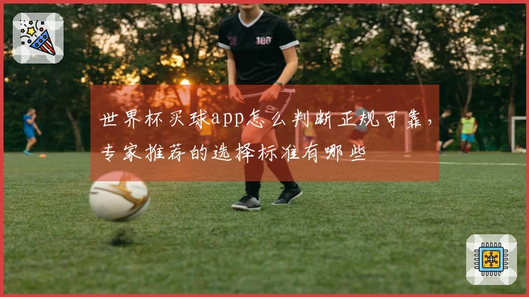 世界杯买球app怎么判断正规可靠，专家推荐的选择标准有哪些